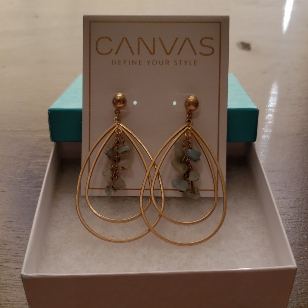 Earrings 20$